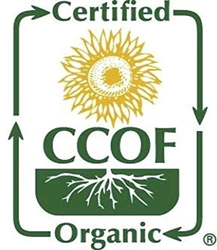 McCabe Organic Buckwheat Flour - Buckwheat Flour Organic | Rich with Fiber & Minerals | USDA and CCOF Certified | Packed in USA | 2Lbs