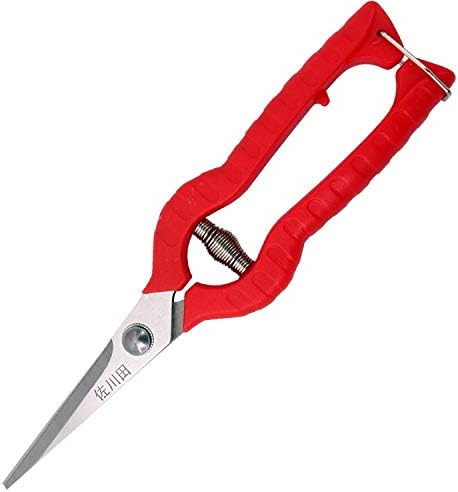 Extra Short Edge Stainless Steel Pruning Shears Fruit Trees Bonsai Sharp Garden Scissors Tool