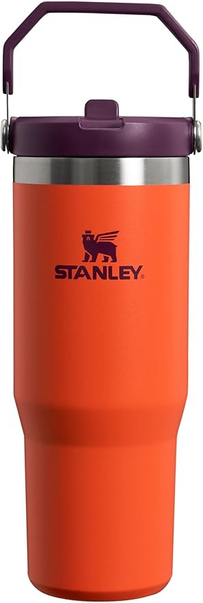 Stanley IceFlow Flip Straw Tumbler with Handle 30 oz | Twist On Lid and Flip Up Straw | Leak Resistant Water Bottle | Insulated Stainless Steel |BPA-Free | Tigerlily Plum