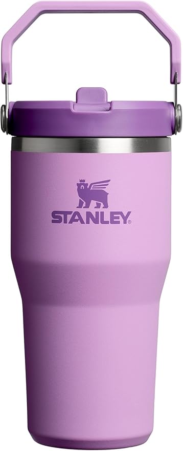 STANLEY IceFlow 2.0 Flip Straw Tumbler with Handle 20 oz | Twist On Lid and Flip Up Straw | Leak Resistant Water Bottle | Insulated Stainless Steel | BPA-Free | Lilac