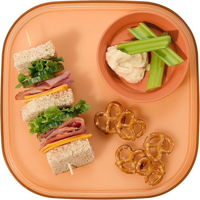 Madesmart Dipware Reusable Dining Plate/Serving Tray for Appetizers and Snacks, Food-Safe Appetizer Serving Platter with Removable Dip Bowl, Terracotta