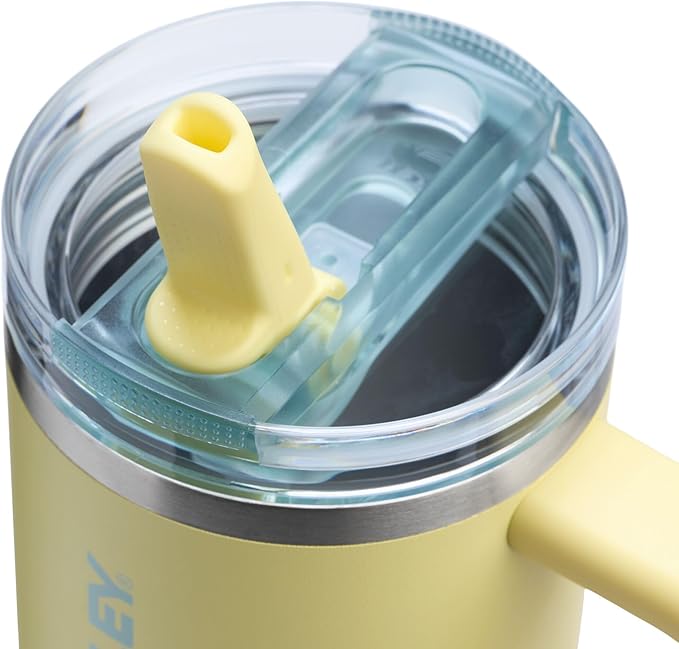STANLEY Quencher ProTour Flip Straw Tumbler with Leakproof Lid | Built-In Straw & Handle | Cupholder Compatible for Travel | Insulated Stainless Steel Cup | BPA-Free