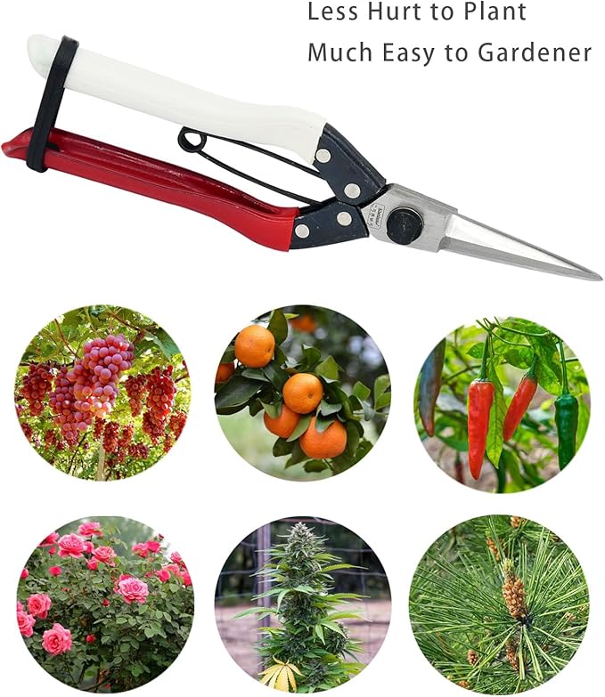 Double-Edge Garden Shears Micro-Tip Pruning Shears Extra Heavy Straight Garden Scissors Effortless Cuts Pruning Shears for Gardening Clippers for Plant Herb Flower Harvesting Fruits vegetables