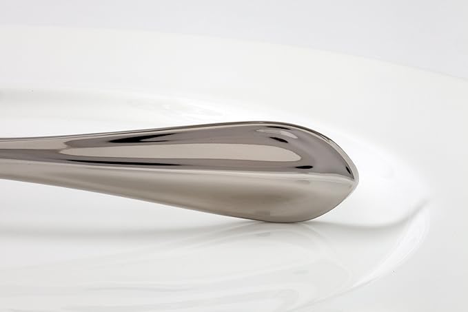 Fortessa Forge 18/10 Stainless Steel Flatware Serving Spoon, 10-Inch