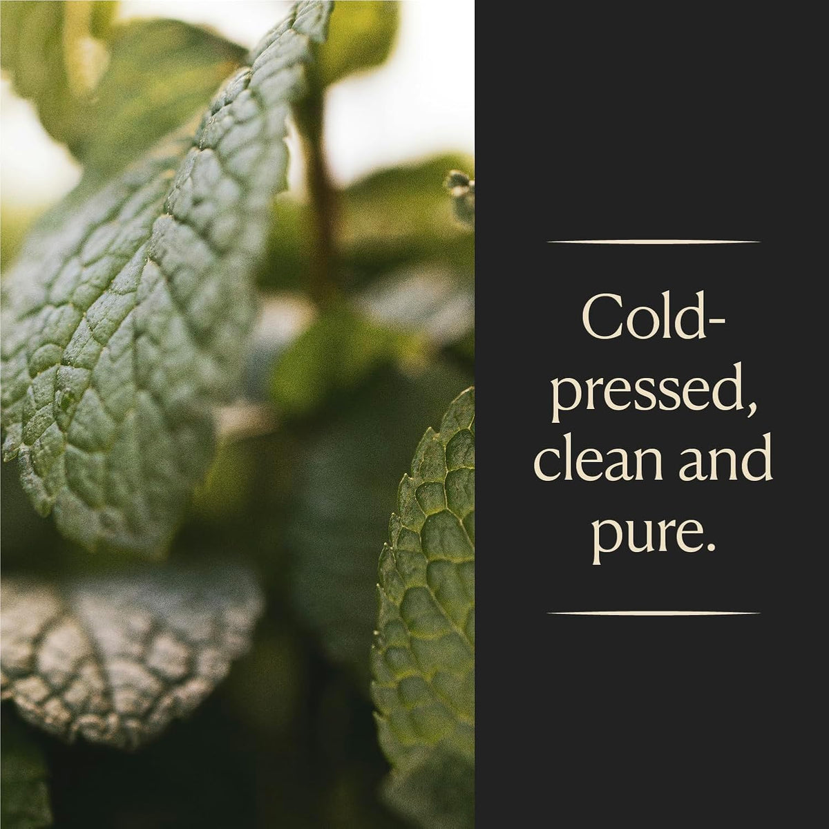 Cook's, Spearmint Extract for Baking, Candies, Chocolates, Tea, Beverages, 8 oz