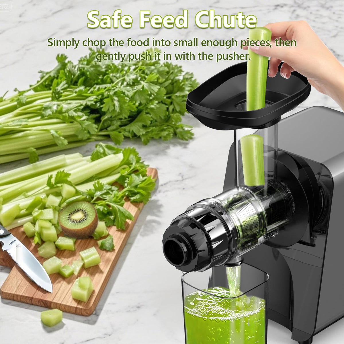 Slow Juicer Carrot Ginger, 250W Cold Press Juicer Machine BAP Free, Easy To Clean High Yield Juicer Extractor with Grinding Function, Dishwasher Safe Masticating Juicer for Hard Vegetable and Fruit