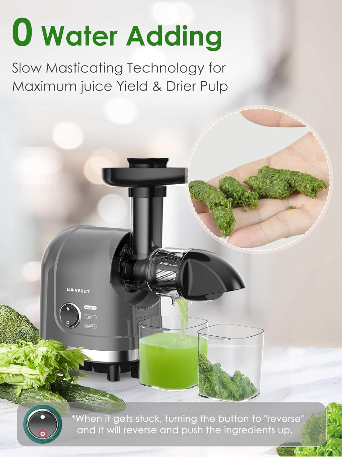 Slow Juicer for Celery Ginger Beet Carrot, Masticating Cold Press Juicer 200W Motor, Pulp Separated, East to Clean Dishwasher Safe, BPA Free, Juicer Machine Vegetable & Fruit