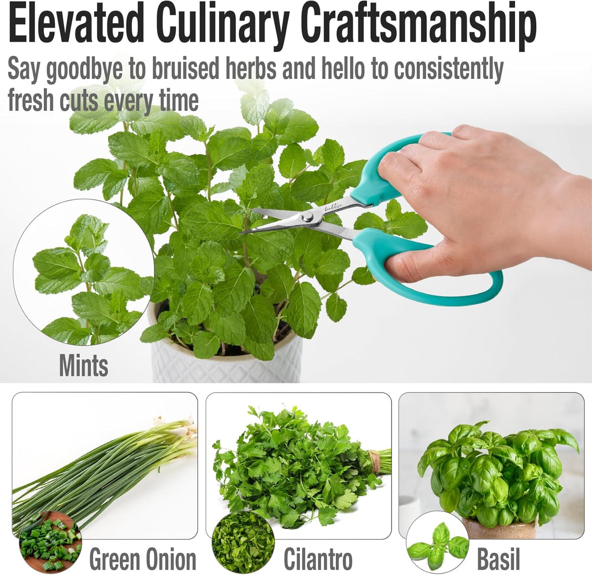Beaditive Culinary Herb Scissors - Compact 6.5-Inch Stainless Steel Kitchen Scissors - Dishwasher Safe - Sharp Tip for Snipping Fresh Herbs