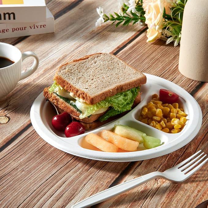 Vplus 100% Compostable Paper Plates, 600 Pack 9 Inch 3 Compartment Plates Disposable, Heavy Duty Biodegradable, Made of Sugar Cane Fibers, for Daily meals, Dinner, Parties, BBQ