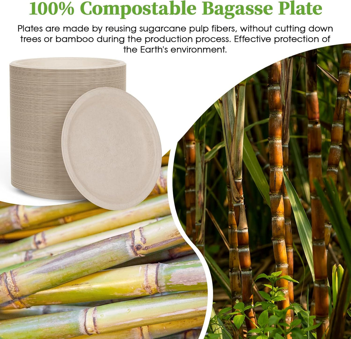 ECOLipak 6 Inch Disposable Compostable Small Paper Plates, 500 Pack Recycled Sugarcane Bagasse Biodegradable Heavy Duty Mini Dinner Appetizer Cake Dessert Plates for Party(Nature)