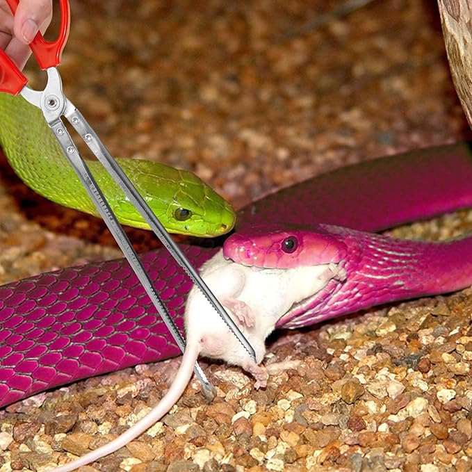 Snake Feeding Tongs,15 Inch Reptile Feeding Tongs,Extra Long Large Tweezers for Corn Ball Python Accessories,Bearded Dragon Tank Accessories,Pet Terrarium Supplies for Leopard Crested Gecko,Lizard