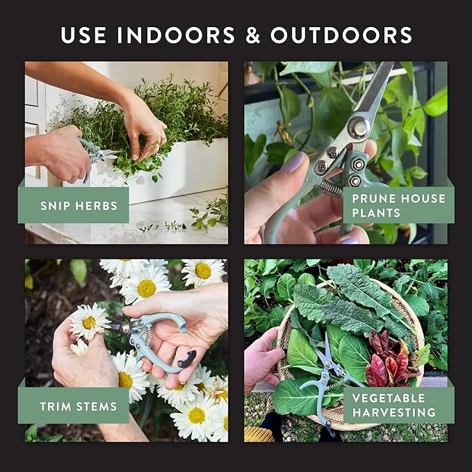 Modern Sprout Pruning Shears - Herb Snipping Scissors- Lightweight Gardening Tools W/Easy Lock - Flower Cutter Garden Shears - Carbon Steel Blade + Reusable Holster (Ocean, 1-Pack)
