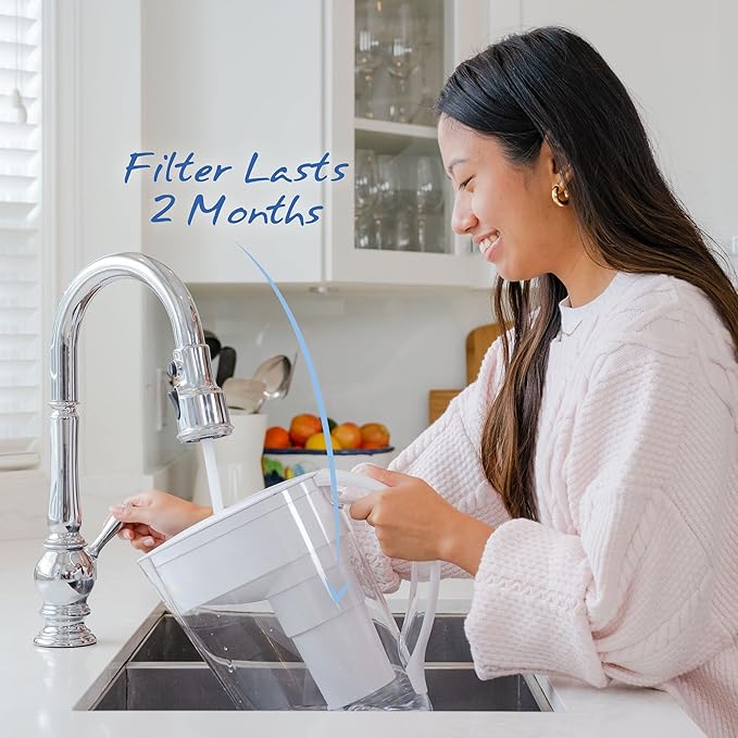 Single Replacement MINA Alkaline Water Fluoride Filter by Santevia | Single at Home Water Pitcher Filter Adds Minerals | Fluoride, Chlorine & Lead Filteration | American Filtration Media